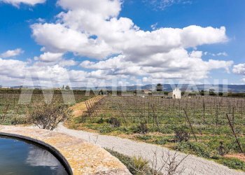 Foto 35 - Villa Contrada Monacazza, Comiso - foto 35