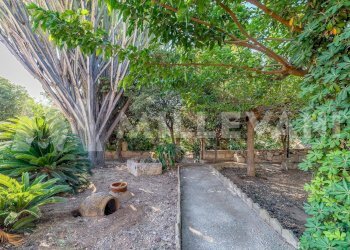 Foto 24 - Villa Via Gaetano schembri
 
31, Ragusa - foto 24