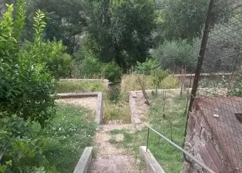 Foto 4 - Casa semi indipendente Empoli - foto 4