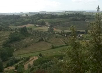 Foto 9 - Casa semi indipendente Empoli - foto 9