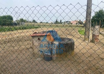 Foto 5 - Terreno agricolo Empoli - foto 5