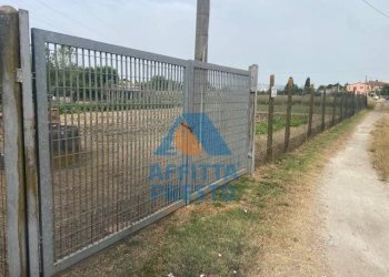 Foto 7 - Terreno agricolo Empoli - foto 7