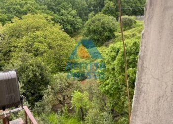 Foto 10 - Terraced Villa Lamporecchio - photo 10