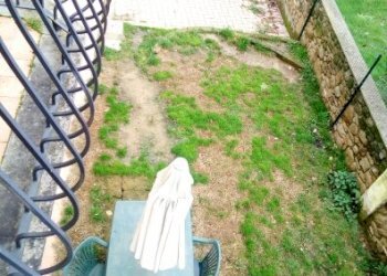 Foto 19 - Independent house Capraia e Limite - photo 19