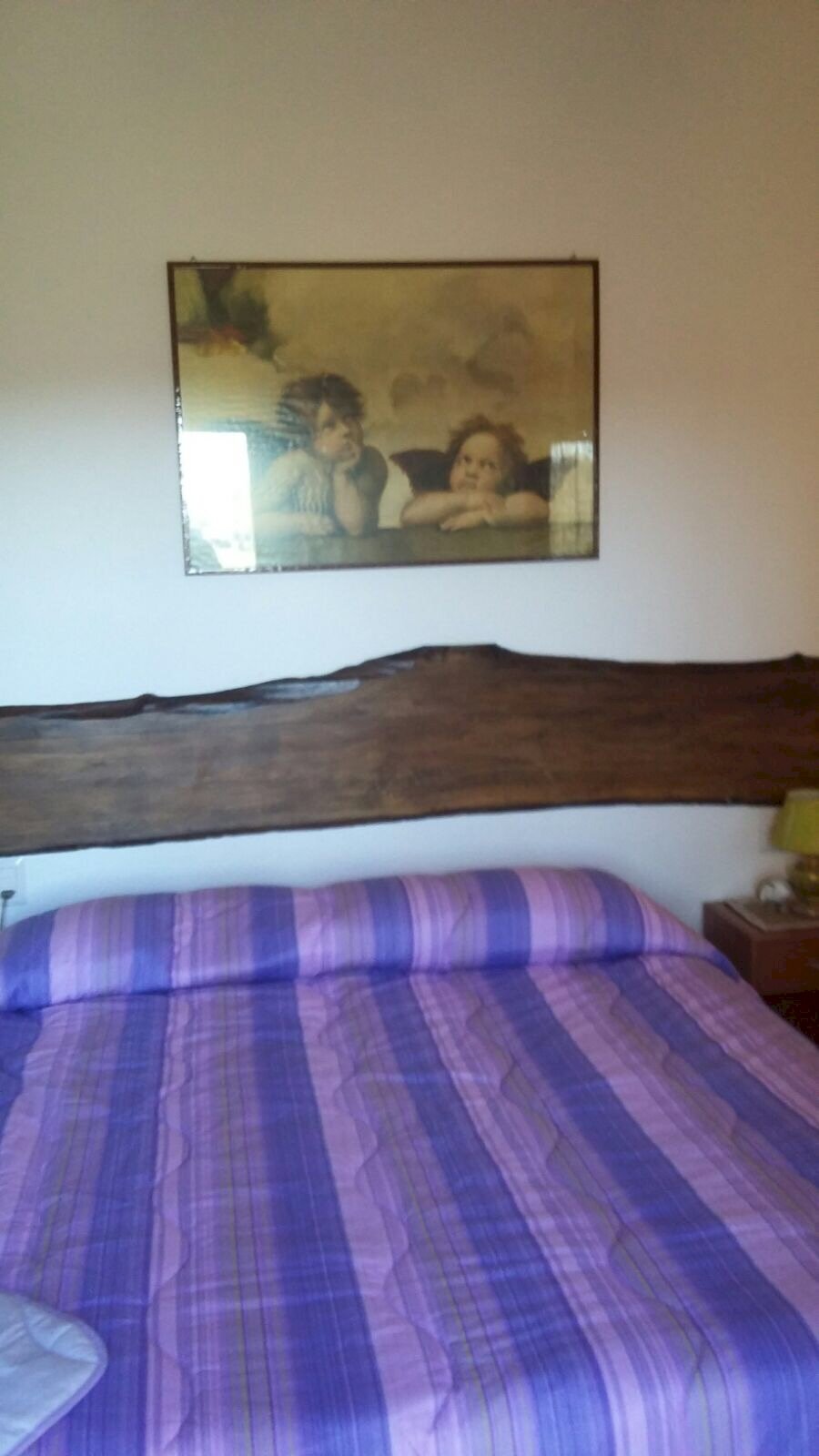 Foto 2 - Terreno non edificabile San Miniato - foto 2