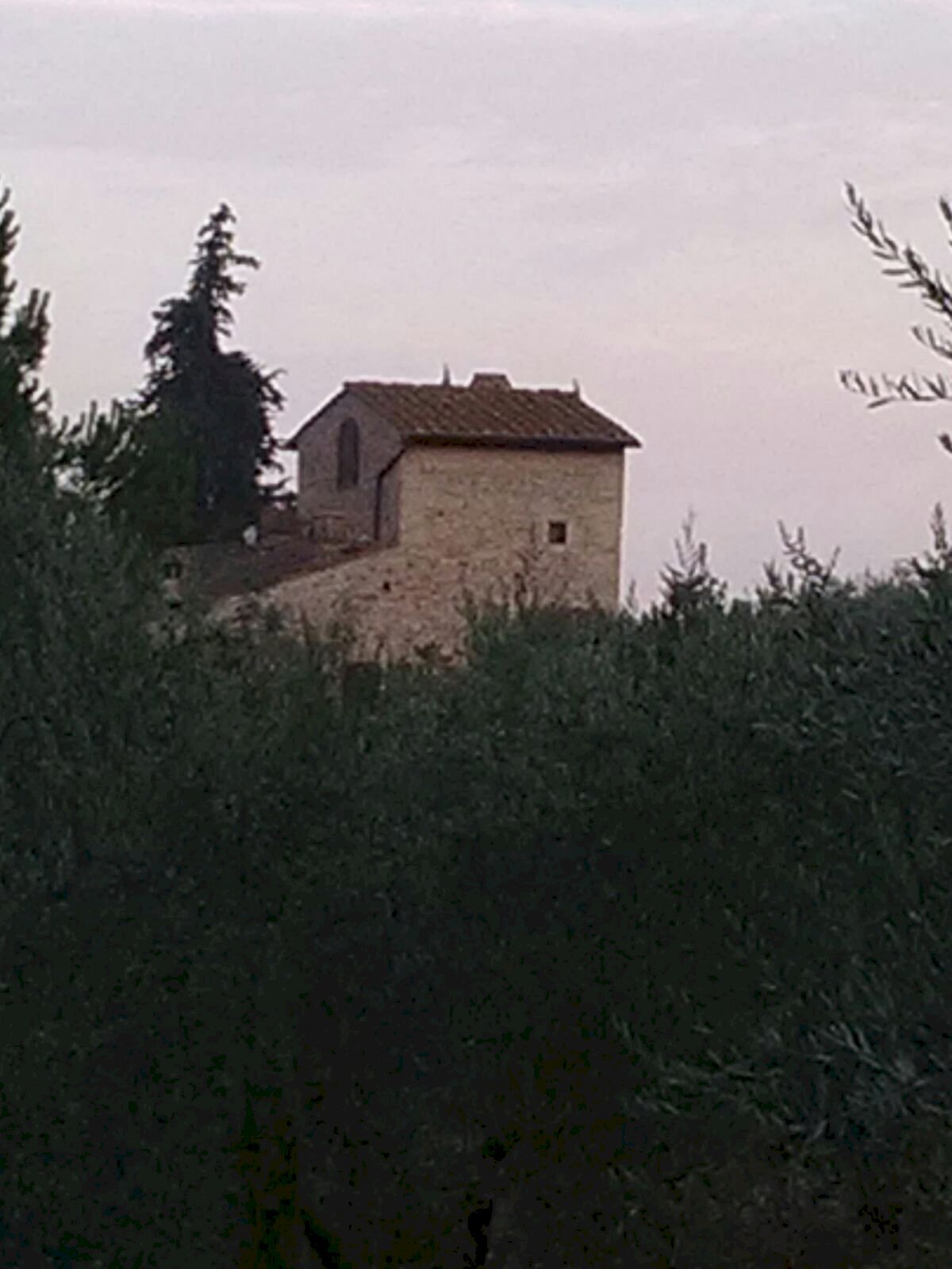 Foto 2 - Residence Montespertoli - foto 2