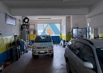 Foto 3 - Laboratorio San Miniato - foto 3