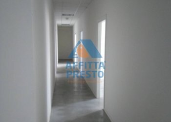 Foto 12 - Capannone Santa Croce sull'Arno - foto 12