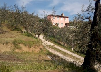 Foto 3 - Terreno agricolo Vinci - foto 3