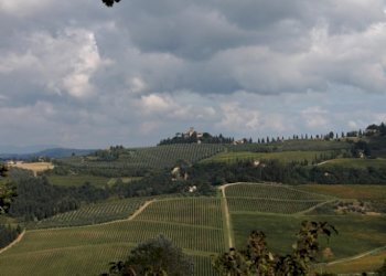 Foto 2 - Two-room apartment Montespertoli - photo 2