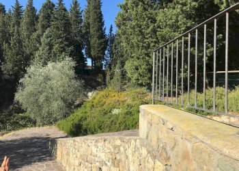 Foto 11 - Residence Capraia e Limite - foto 11