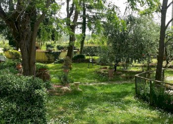 Foto 9 - Terreno non edificabile Vinci - foto 9