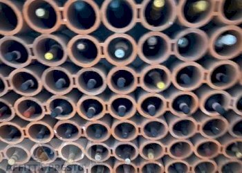 Foto 8 - Villa a Schiera Empoli - foto 8