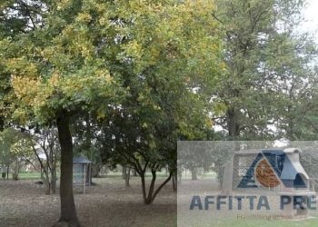 Foto 5 - Appartamento Castelfranco di Sotto - foto 5