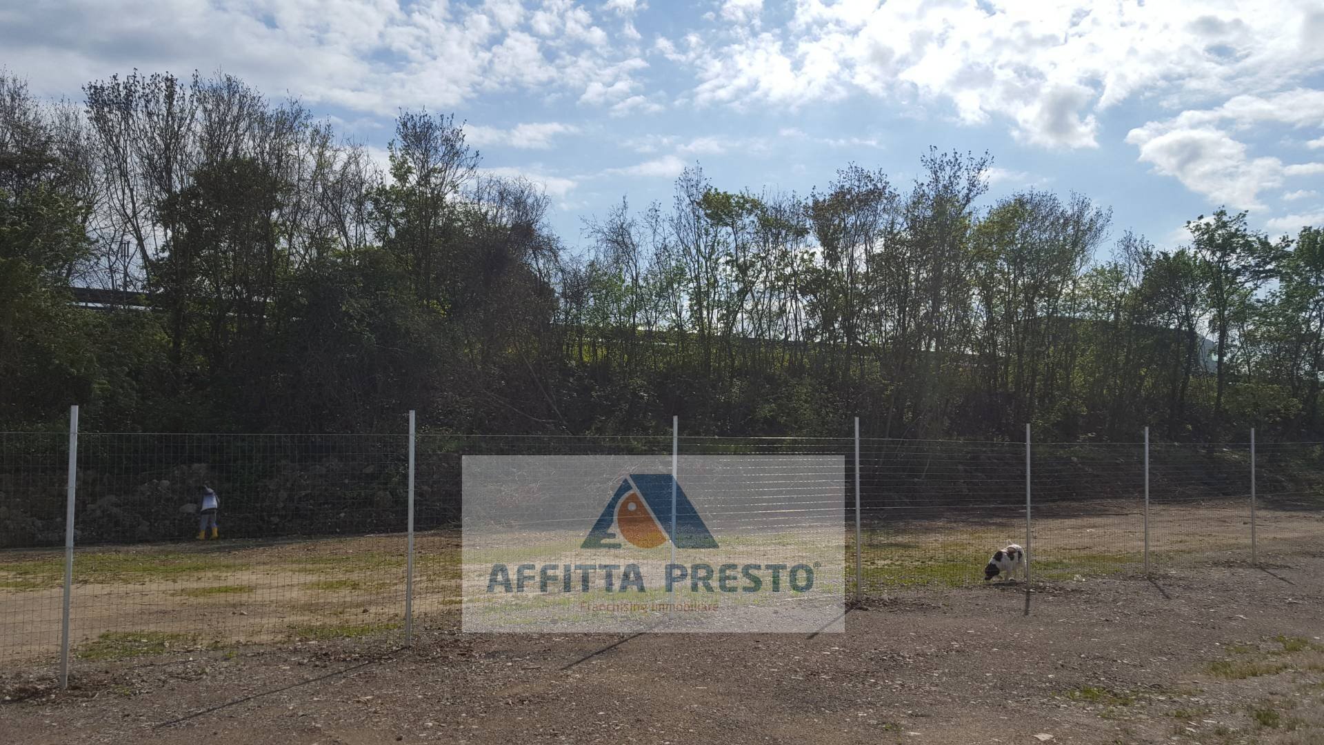 Foto 3 - Magazzino Empoli - foto 3