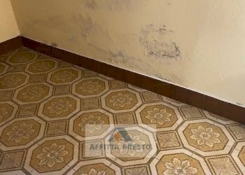 Foto 4 - Commercial Activity Cerreto Guidi - photo 4