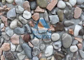 Foto 4 - Capannone Vinci - foto 4