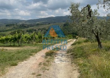 Foto 4 - Terreno agricolo Vinci - foto 4