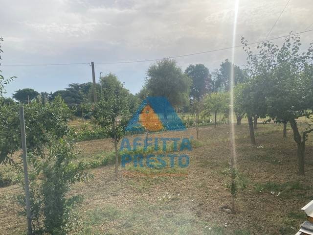 Foto 1 - Terreno agricolo Empoli - foto 1
