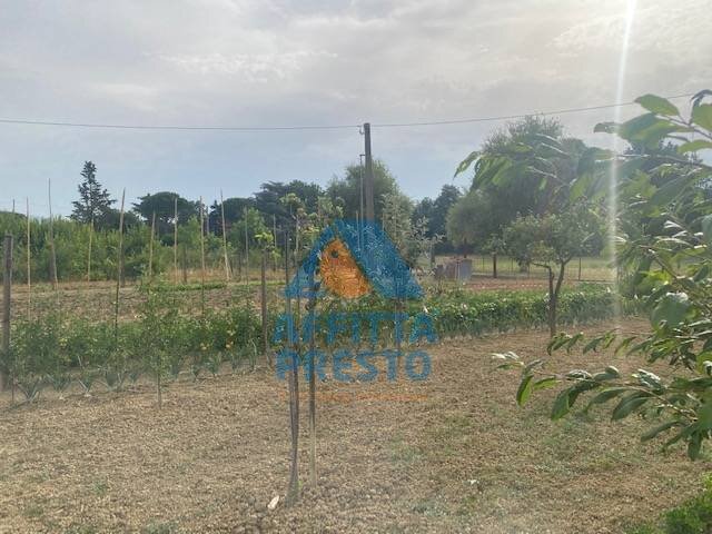 Foto 2 - Terreno agricolo Empoli - foto 2