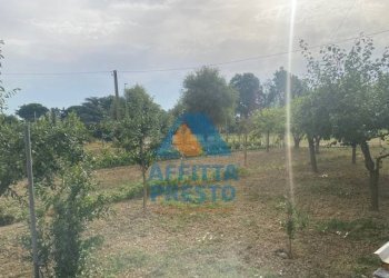 Foto 1 - Terreno agricolo Empoli - foto 1
