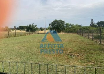 Foto 7 - Terreno agricolo Empoli - foto 7