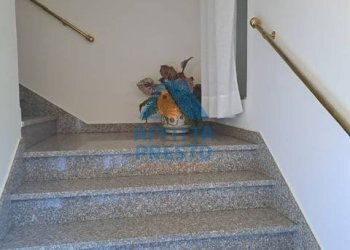 Foto 25 - Appartamento Empoli - foto 25