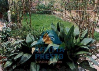 Foto 1 - Casa indipendente Santa Croce sull'Arno - foto 1