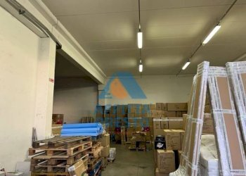 Foto 3 - Capannone Montelupo Fiorentino - foto 3