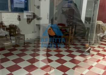 Foto 5 - Shed Vinci - photo 5