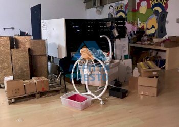 Foto 6 - Shed Vinci - photo 6