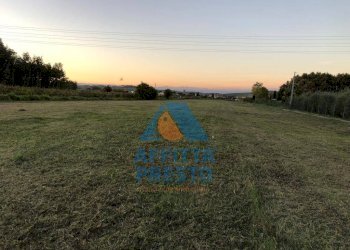 Foto 3 - Terreno agricolo Empoli - foto 3