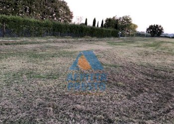 Foto 4 - Terreno agricolo Empoli - foto 4