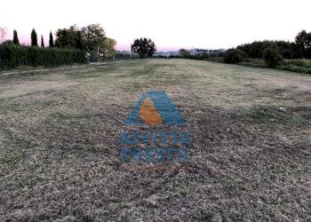 Foto 5 - Terreno agricolo Empoli - foto 5