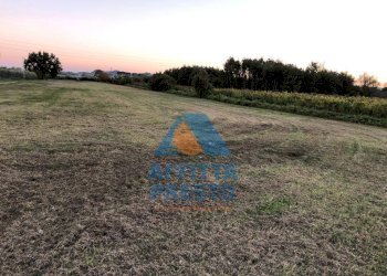 Foto 6 - Terreno agricolo Empoli - foto 6