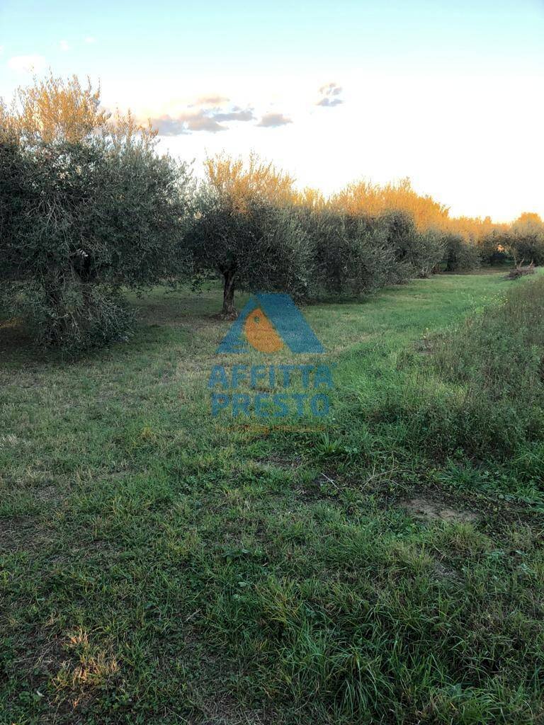 Foto 1 - Terreno agricolo Empoli - foto 1