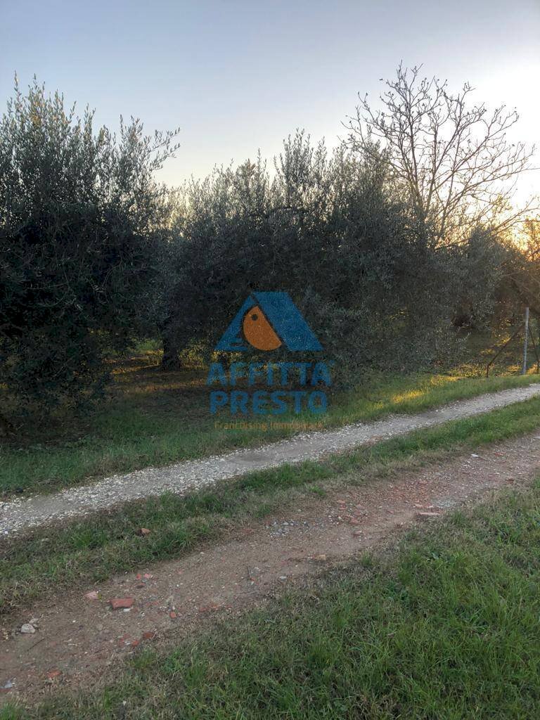 Foto 2 - Terreno agricolo Empoli - foto 2