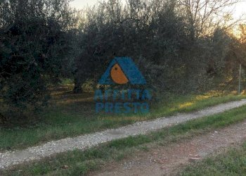 Foto 2 - Terreno agricolo Empoli - foto 2