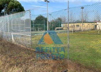 Foto 3 - Terreno agricolo Fucecchio - foto 3