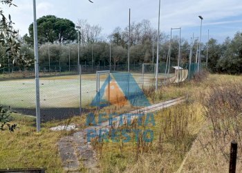 Foto 4 - Terreno agricolo Fucecchio - foto 4