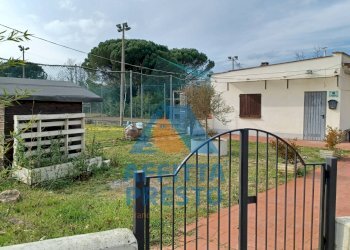 Foto 7 - Terreno agricolo Fucecchio - foto 7