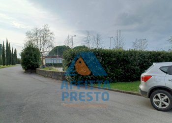 Foto 8 - Terreno agricolo Fucecchio - foto 8