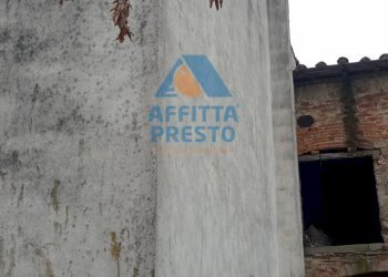 Foto 11 - Casa semi indipendente San Miniato - foto 11