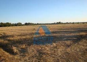 Foto 1 - Terreno agricolo Empoli - foto 1