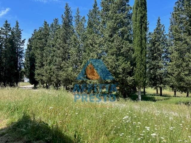 Foto 1 - Attività Commerciale Montelupo Fiorentino - foto 1