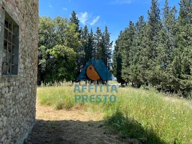 Foto 2 - Attività Commerciale Montelupo Fiorentino - foto 2