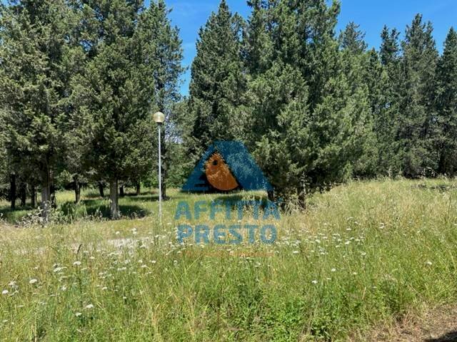 Foto 3 - Attività Commerciale Montelupo Fiorentino - foto 3