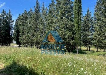 Foto 1 - Attività Commerciale Montelupo Fiorentino - foto 1