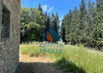 Foto 2 - Attività Commerciale Montelupo Fiorentino - foto 2