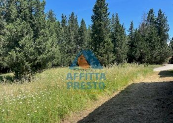 Foto 4 - Attività Commerciale Montelupo Fiorentino - foto 4